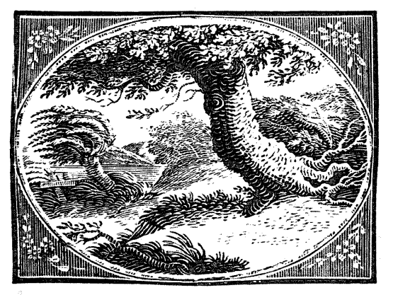 Wood engraving by Thomas Bewick, greatly enlarged